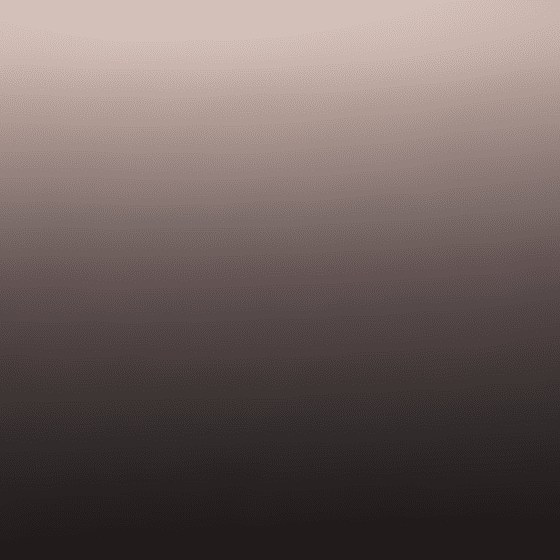 PEP-023-AMF-BRONCE-PERLA-top-form